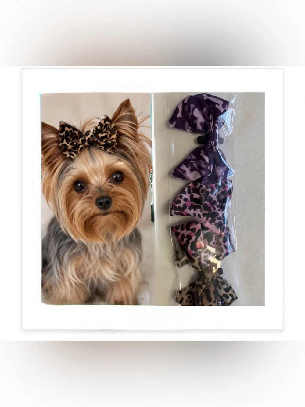 Small Pet Accessory Bundle-Pearl Rhinestone Dog Necklace, 3 animal print bows
